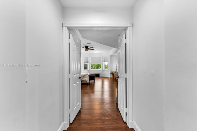 corridor featuring dark hardwood / wood-style floors