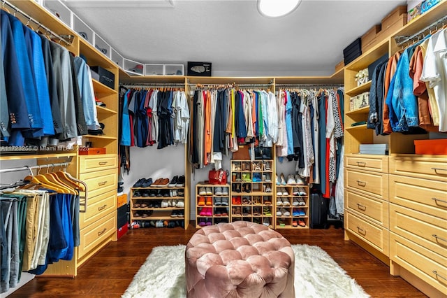 spacious closet featuring dark hardwood / wood-style floors