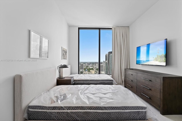 bedroom with expansive windows