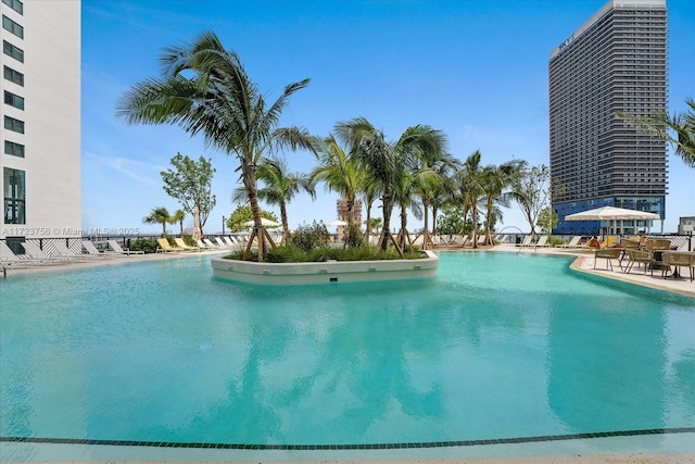 view of pool featuring a patio