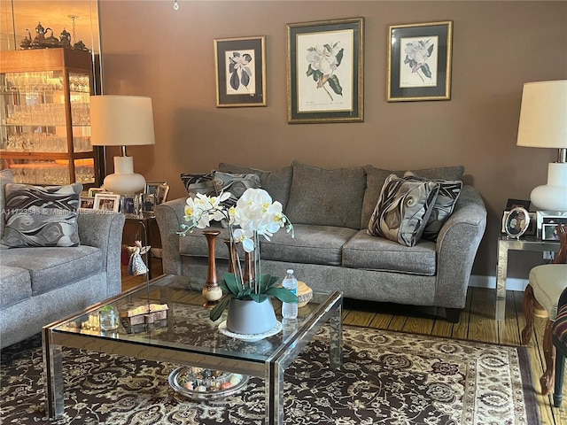 living room featuring hardwood / wood-style floors