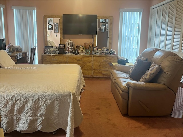 bedroom with carpet floors and a closet