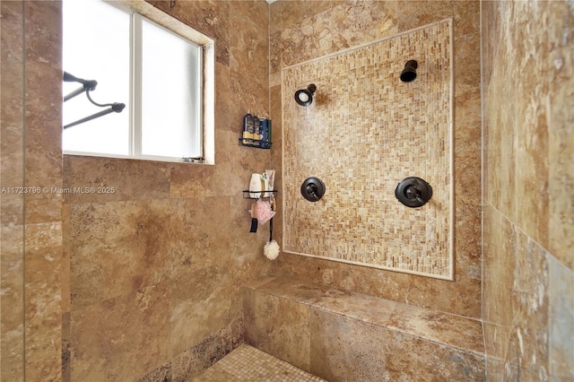 room details with tiled shower