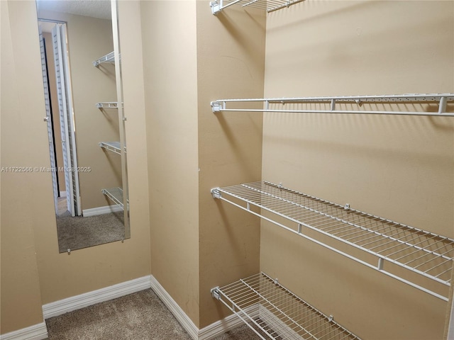 walk in closet featuring carpet floors