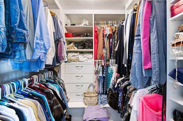 view of walk in closet