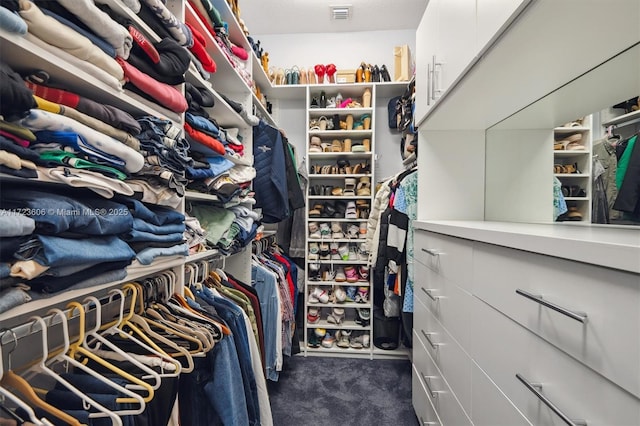 spacious closet with dark colored carpet