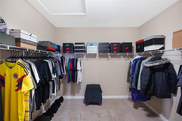 spacious closet with carpet floors