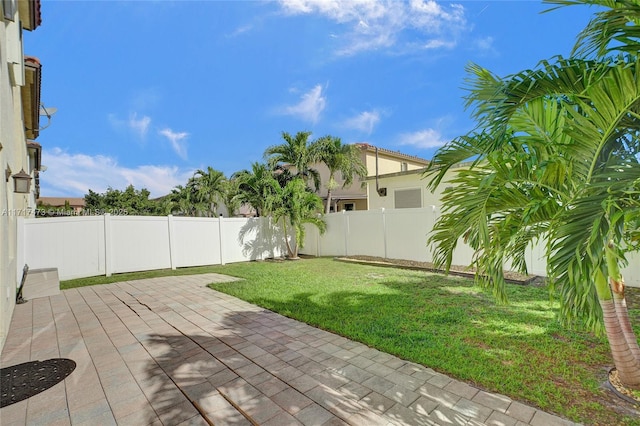 view of yard with a patio