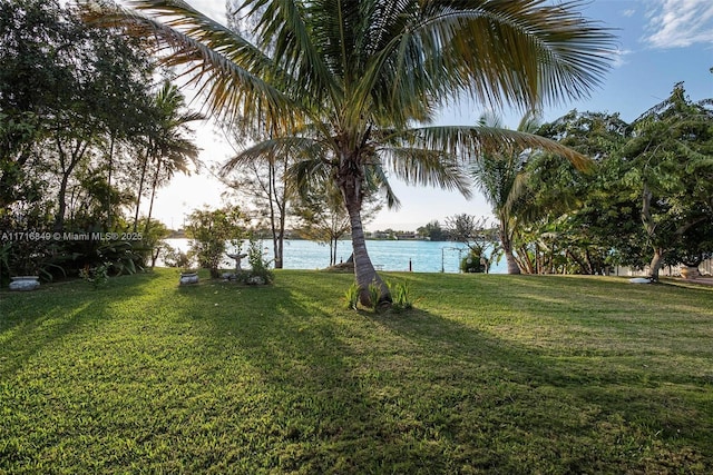 view of yard featuring a water view