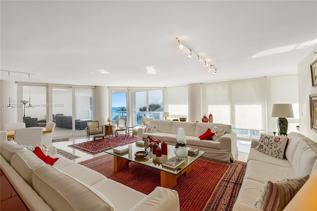 living room with expansive windows and rail lighting