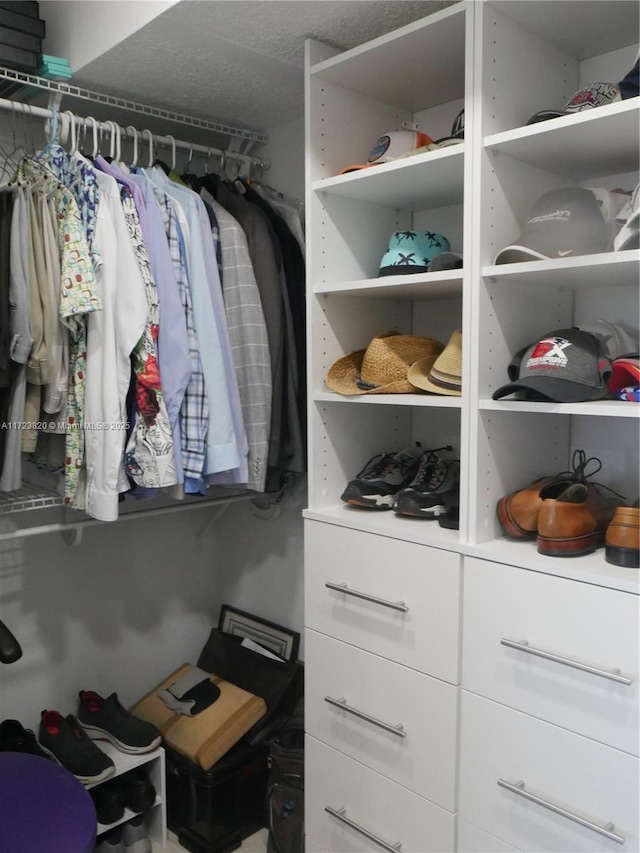 view of spacious closet