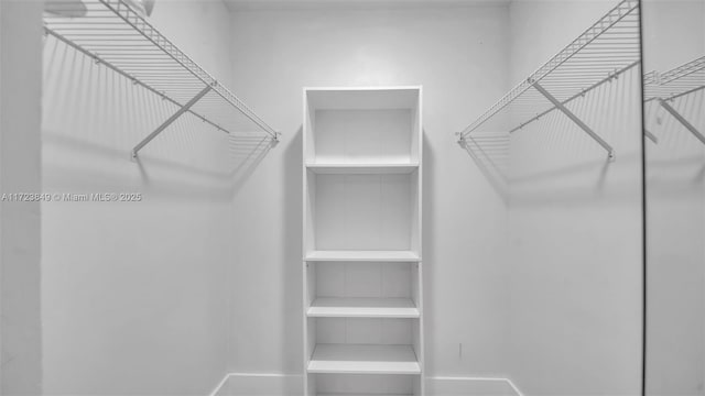 view of walk in closet