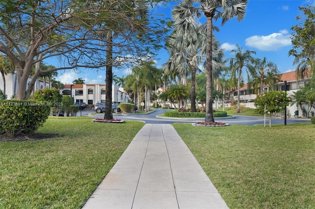 view of community with a lawn