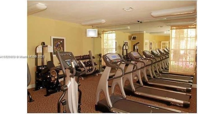gym featuring carpet