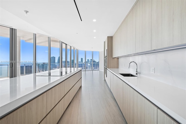 kitchen with black electric stovetop, light brown cabinets, a wall of windows, and sink