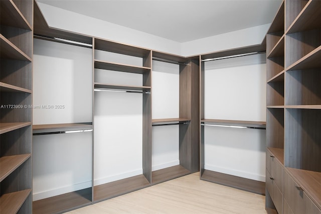 spacious closet featuring light hardwood / wood-style floors