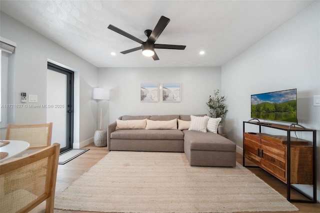 living room with ceiling fan and light hardwood / wood-style flooring