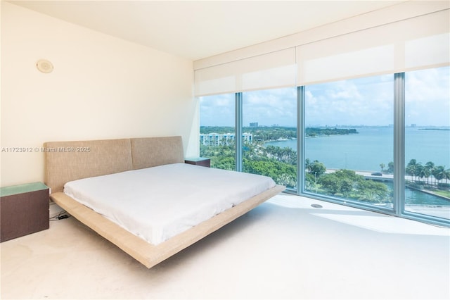 bedroom featuring a water view