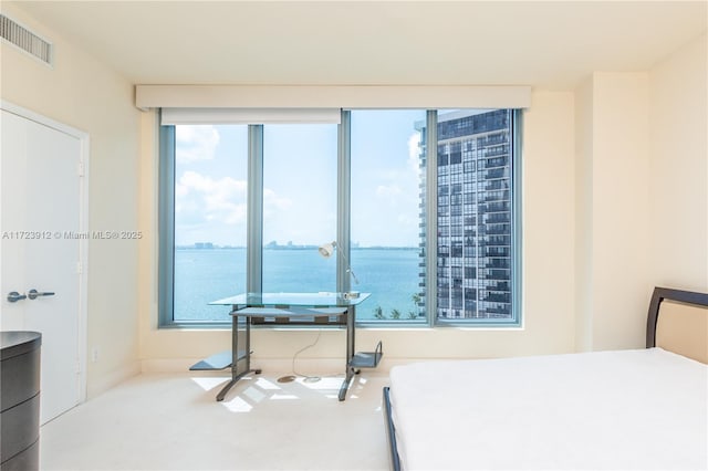 bedroom featuring a water view