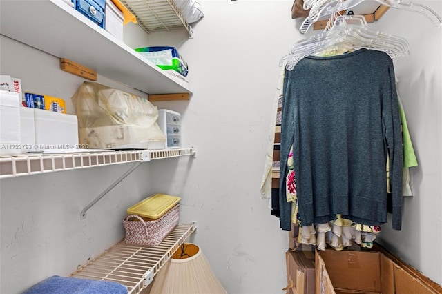 view of spacious closet