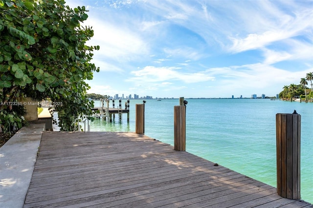 dock area with a water view