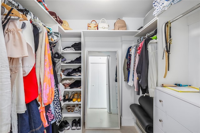 view of spacious closet