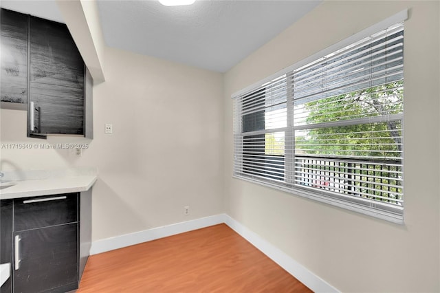 interior space featuring hardwood / wood-style flooring and plenty of natural light