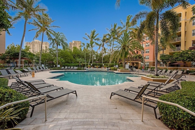 view of swimming pool with a patio