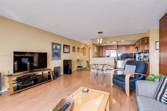 living room featuring light hardwood / wood-style floors