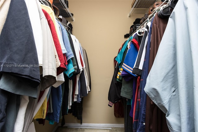 view of walk in closet