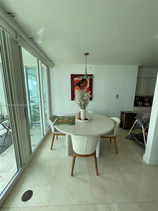 dining space featuring a healthy amount of sunlight