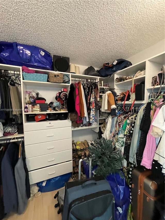 spacious closet with wood-type flooring