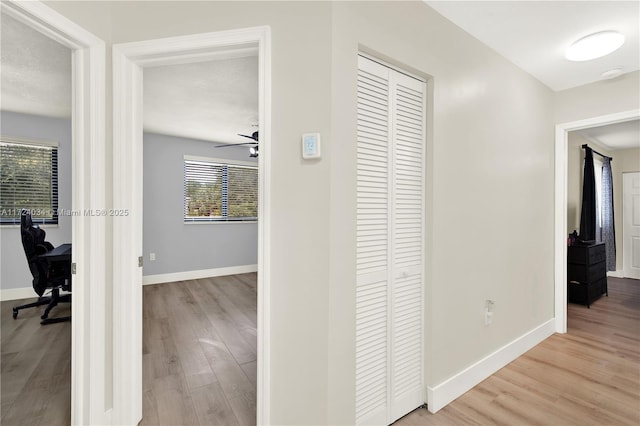 hall featuring light hardwood / wood-style flooring