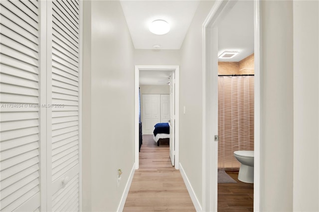 hallway featuring light hardwood / wood-style floors