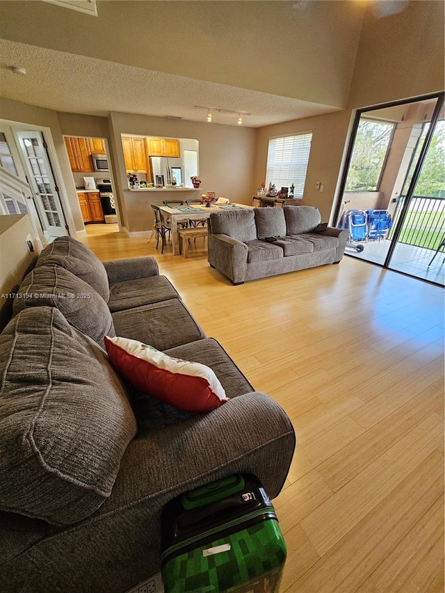 living room featuring light hardwood / wood-style floors and a textured ceiling