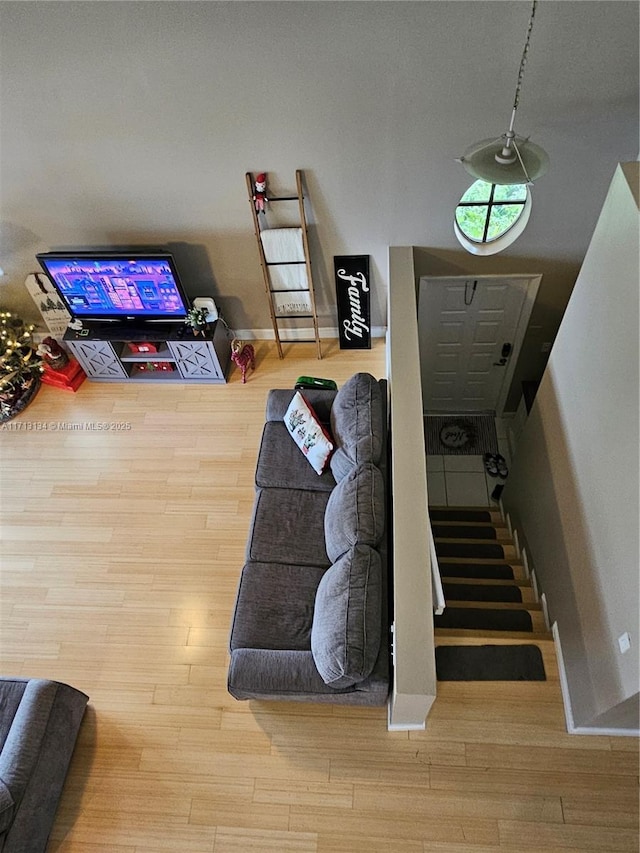 living room with wood-type flooring