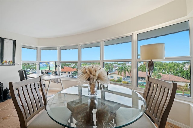 dining area with plenty of natural light