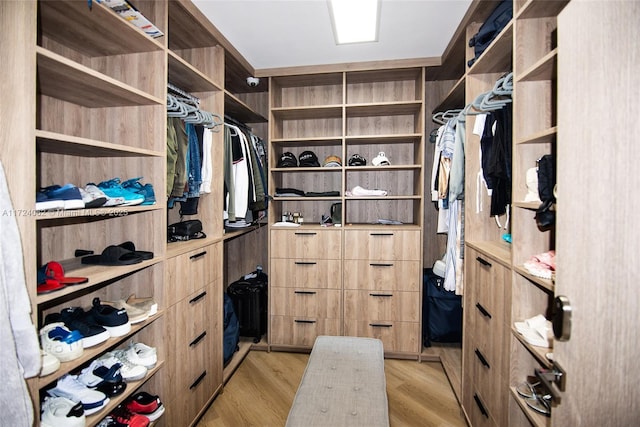 walk in closet featuring light hardwood / wood-style flooring