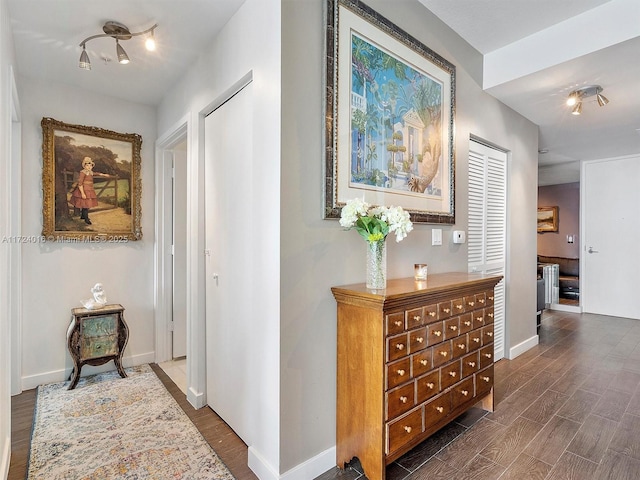 hallway featuring dark hardwood / wood-style flooring