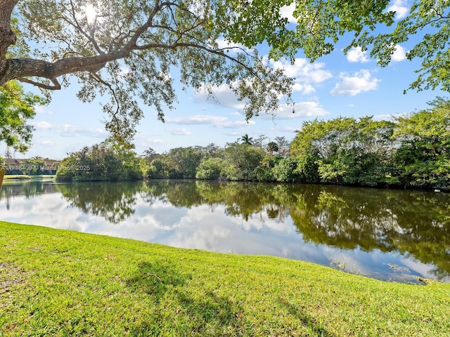 property view of water