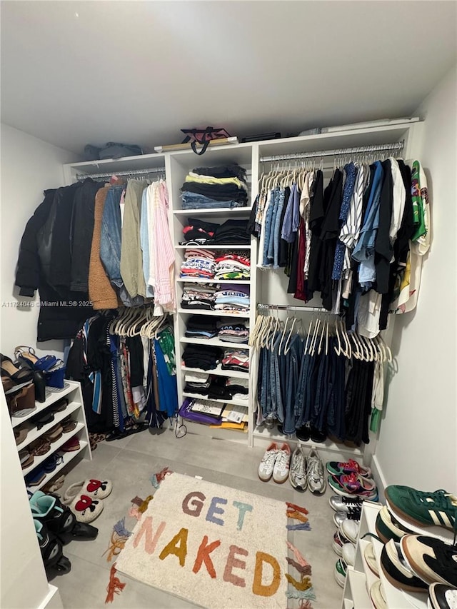 view of spacious closet