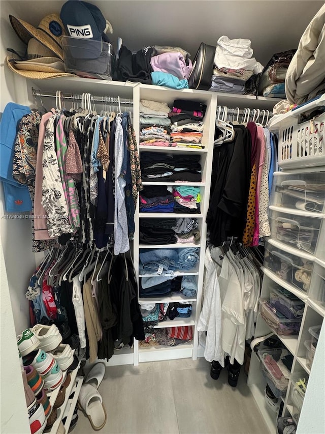 view of spacious closet