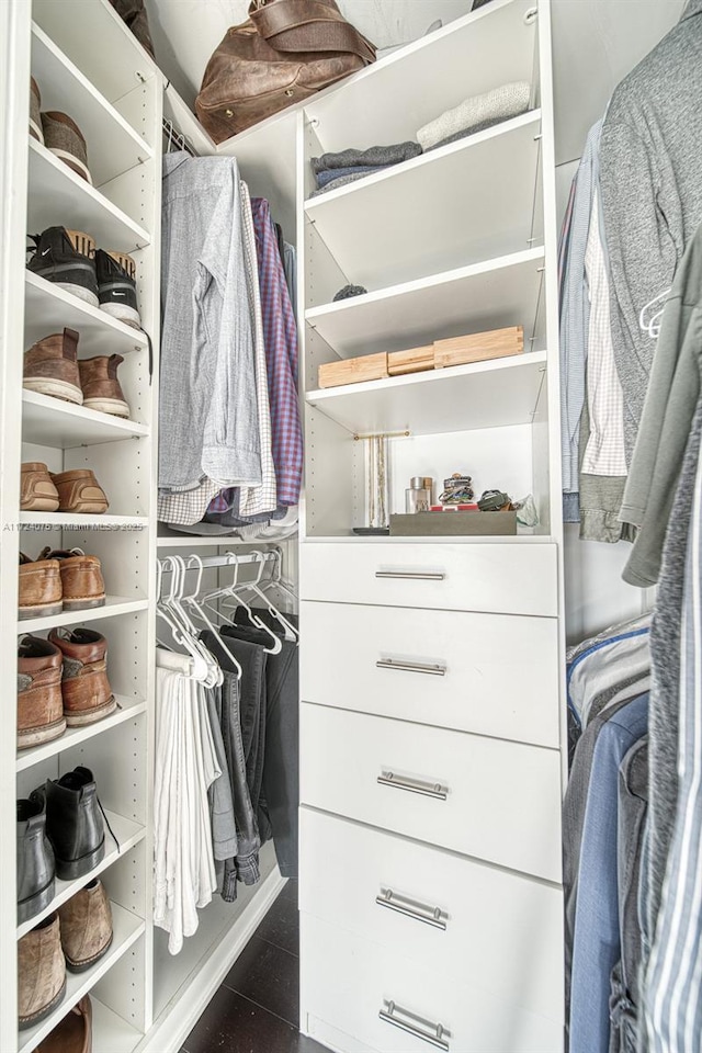 view of spacious closet