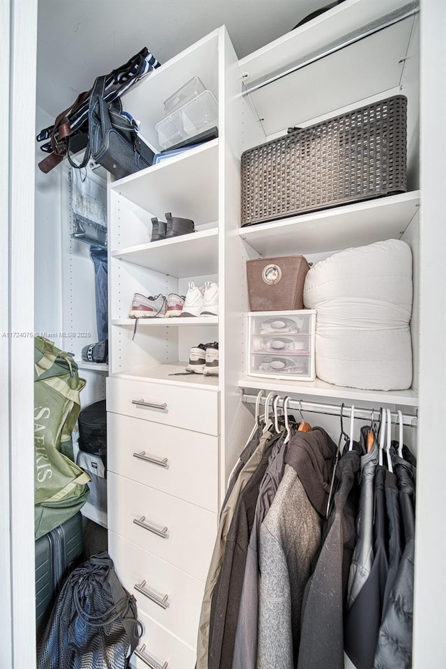 view of spacious closet