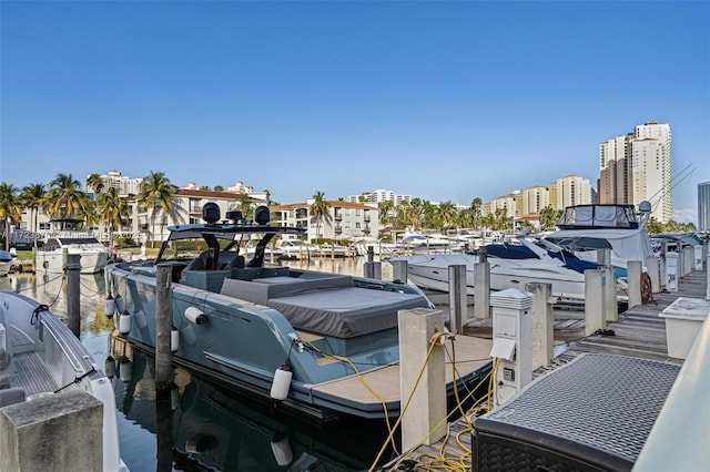 dock area with a water view