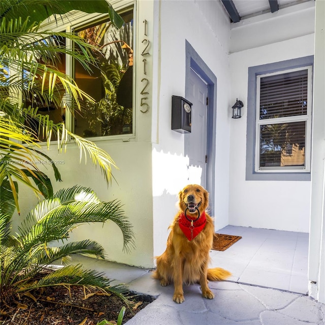doorway to property featuring stucco siding