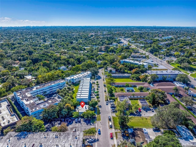 bird's eye view