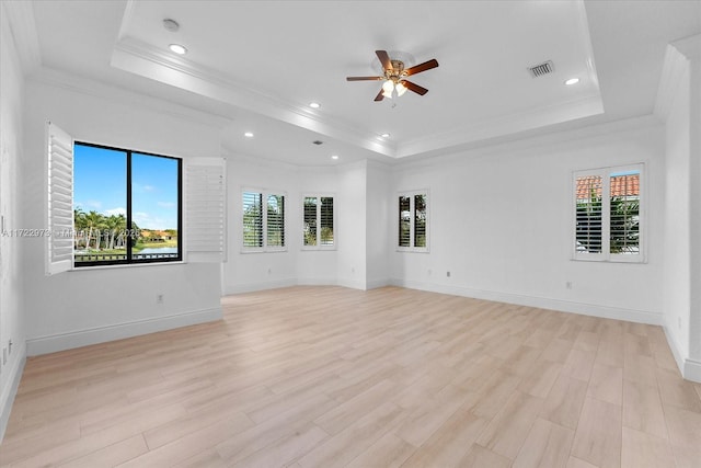 spare room featuring a tray ceiling, light hardwood / wood-style flooring, and a healthy amount of sunlight