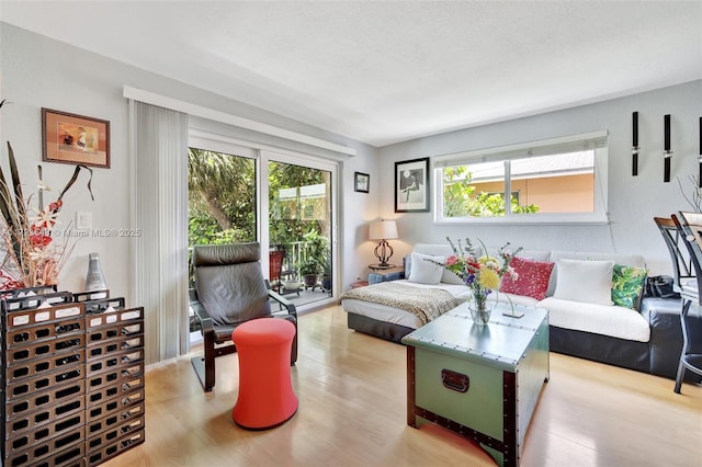 living room featuring a textured ceiling and hardwood / wood-style floors