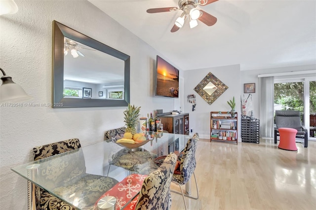 dining room featuring ceiling fan and wood-type flooring